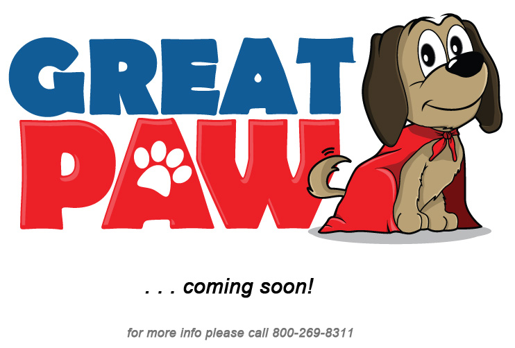 Great Paw